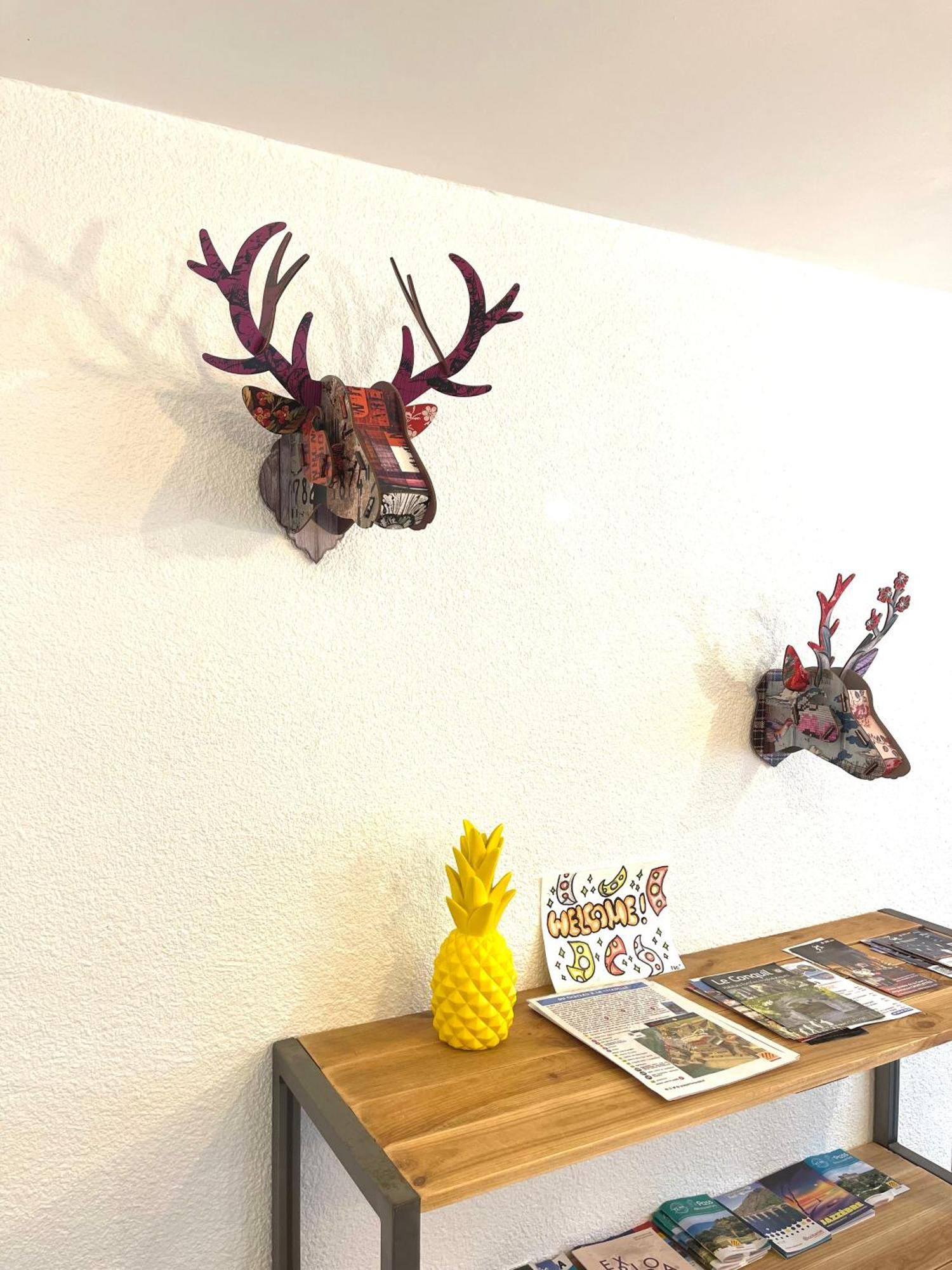 Appartement Dans Le Quartier Recherche Du Moure Collioure Ngoại thất bức ảnh